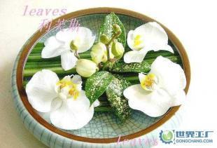 禮品花卉銷(xiāo)售 鮮花、觀(guān)葉植物與綠化租賃服務(wù)的綜合解決方案