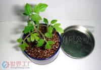 福州統(tǒng)領(lǐng)文具禮品丫丫小花園 高品質(zhì)禮品花卉銷(xiāo)售專(zhuān)家